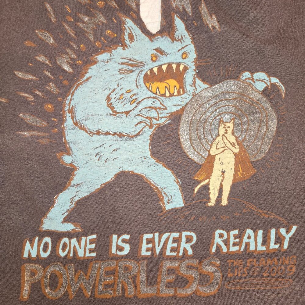 Deconstructed Flaming Lips Powerless 2009 Concert… - image 4